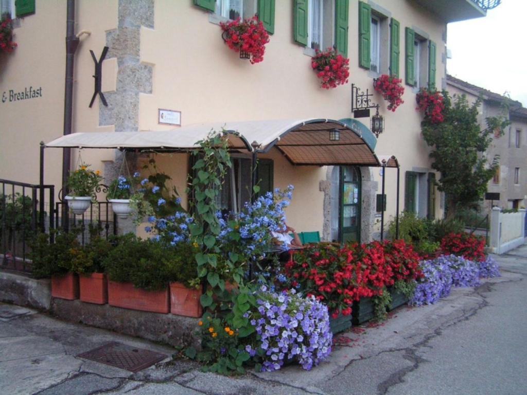 Bed and Breakfast In Plait Cercivento Екстер'єр фото